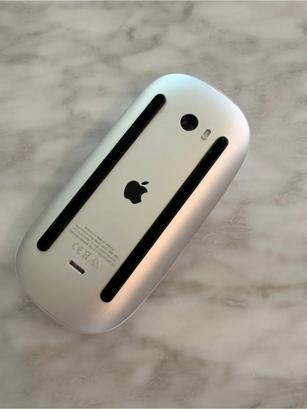 Apple Wireless Magic Mouse in Silver and Black